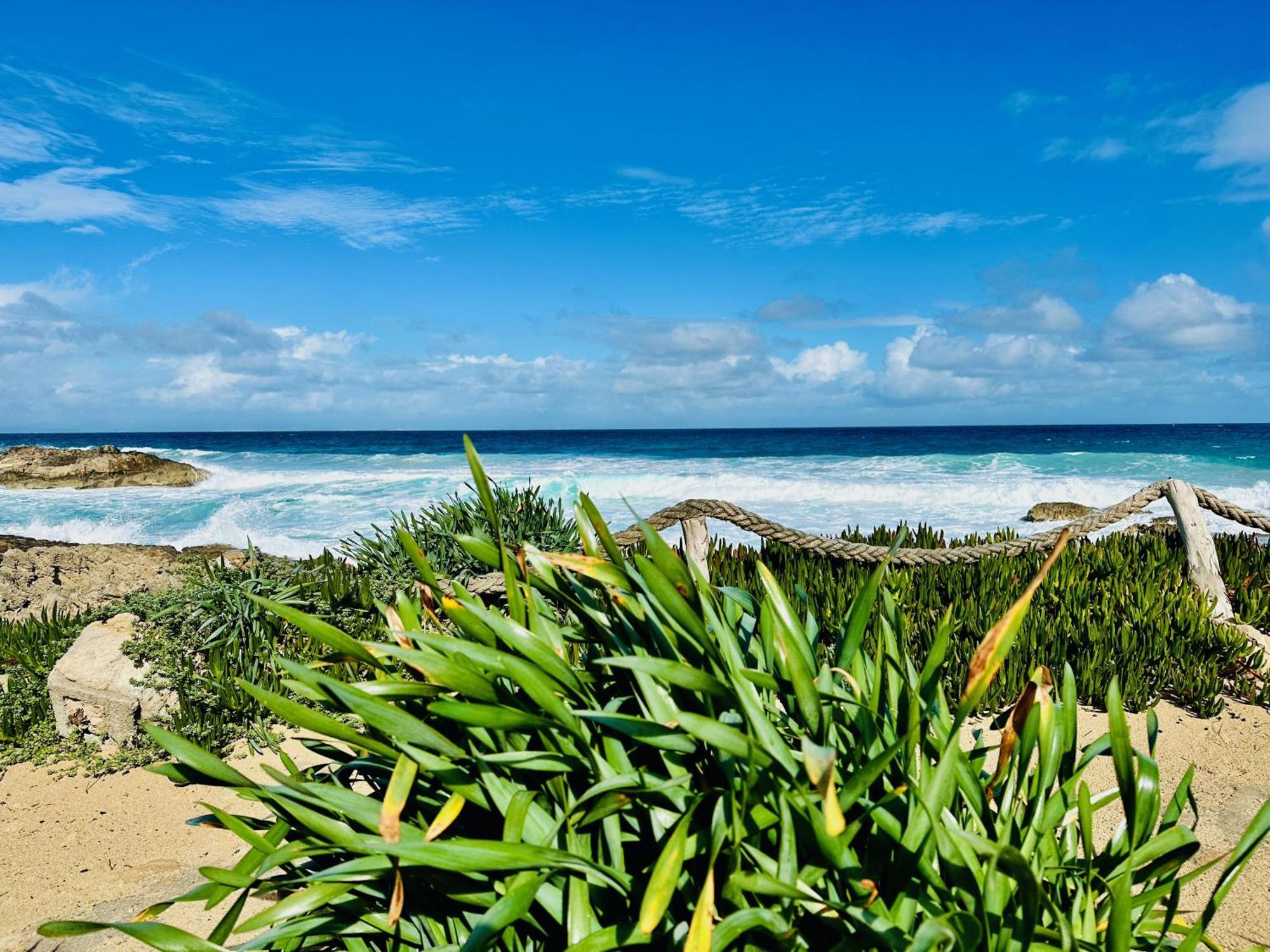 Apartments Campanitx - Astbury Formentera エス・カロ エクステリア 写真